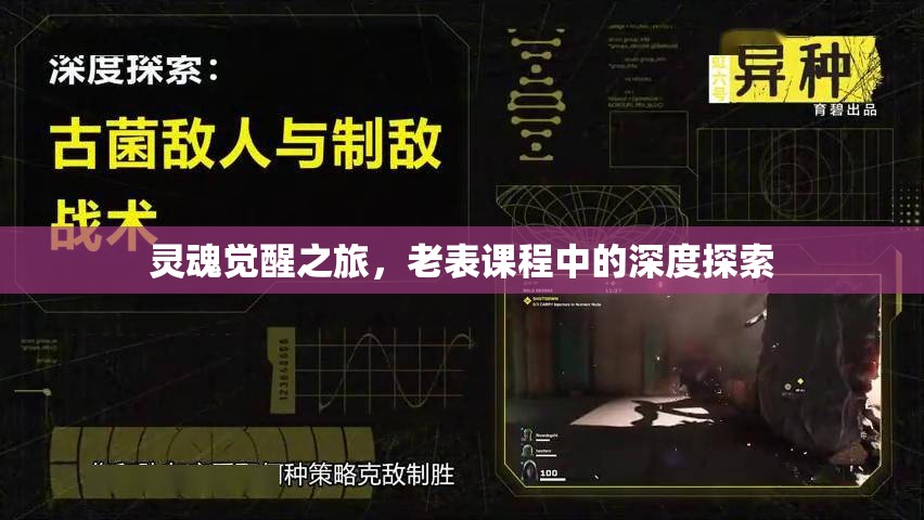 靈魂覺醒之旅，老表課程中的深度探索