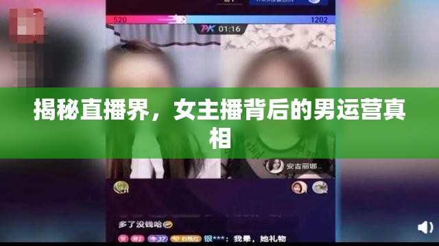 揭秘直播界，女主播背后的男運營真相