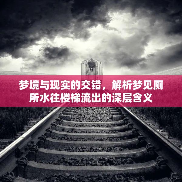 夢境與現(xiàn)實的交錯，解析夢見廁所水往樓梯流出的深層含義