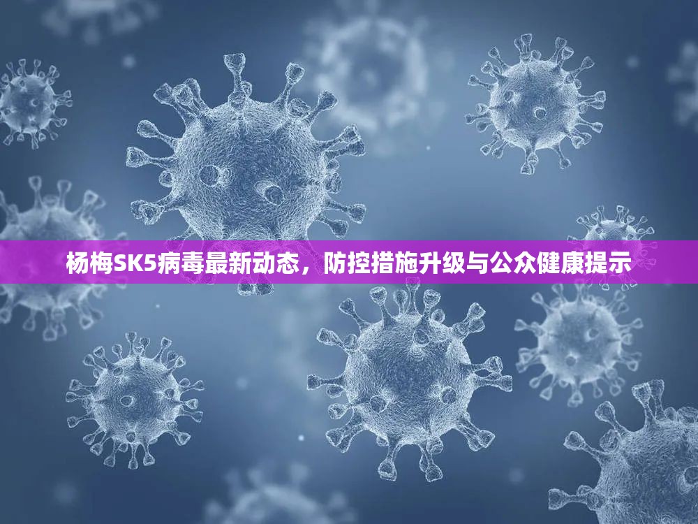 楊梅SK5病毒最新動態(tài)，防控措施升級與公眾健康提示