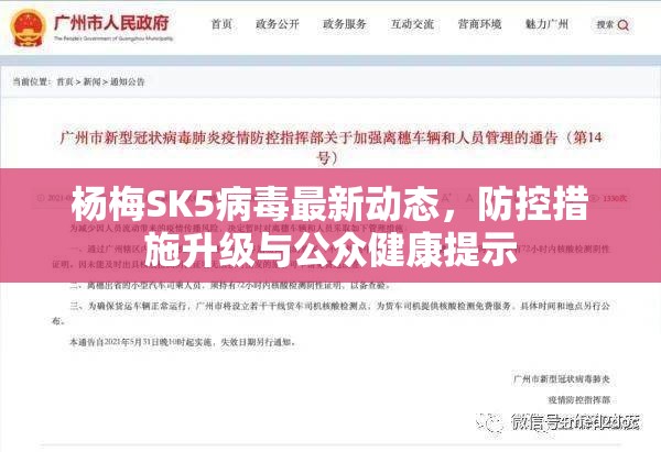 楊梅SK5病毒最新動態(tài)，防控措施升級與公眾健康提示