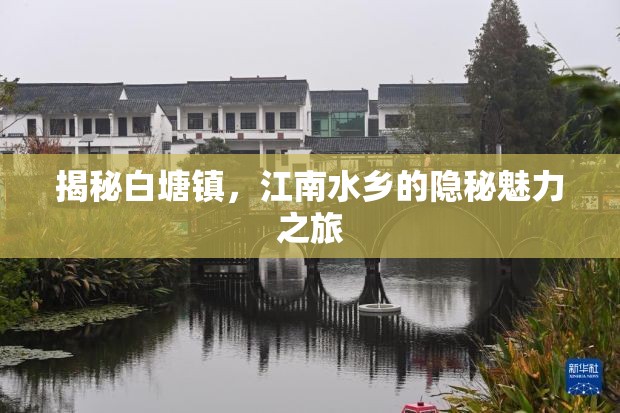 揭秘白塘鎮(zhèn)，江南水鄉(xiāng)的隱秘魅力之旅