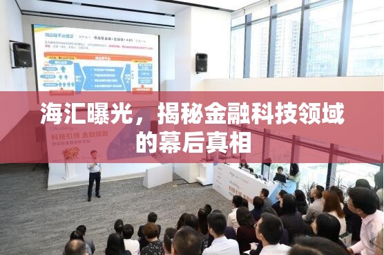 海匯曝光，揭秘金融科技領(lǐng)域的幕后真相