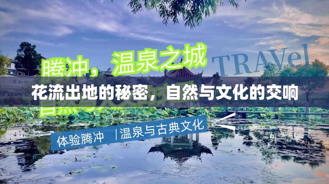花流出地的秘密，自然與文化的交響