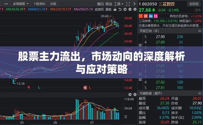 股票主力流出，市場動向的深度解析與應(yīng)對策略