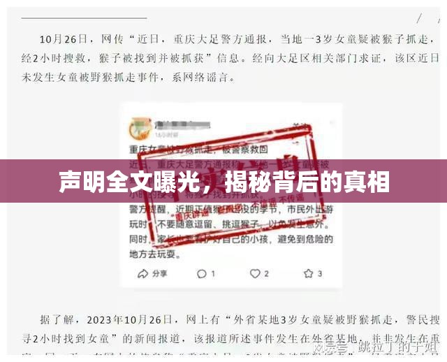 聲明全文曝光，揭秘背后的真相