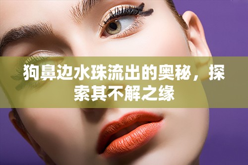 狗鼻邊水珠流出的奧秘，探索其不解之緣