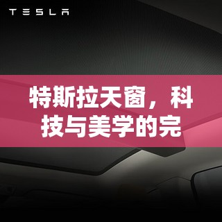 特斯拉天窗，科技與美學(xué)的完美融合