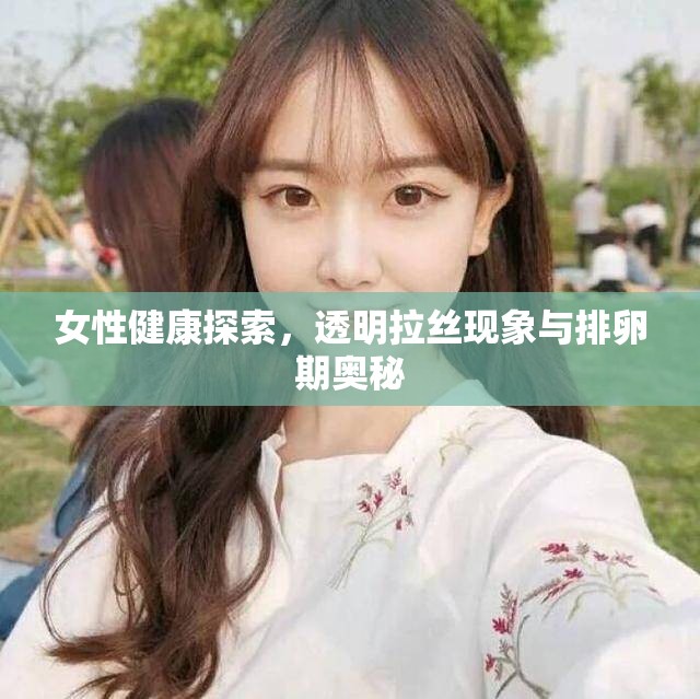 女性健康探索，透明拉絲現(xiàn)象與排卵期奧秘