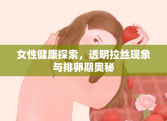 女性健康探索，透明拉絲現(xiàn)象與排卵期奧秘