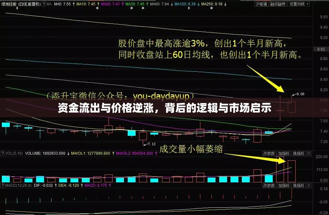 資金流出與價格逆漲，背后的邏輯與市場啟示
