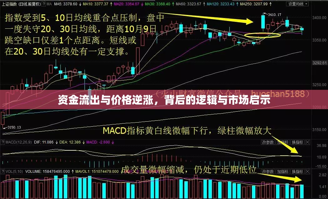 資金流出與價格逆漲，背后的邏輯與市場啟示