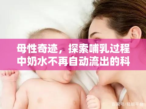 母性奇跡，探索哺乳過程中奶水不再自動流出的科學(xué)奧秘
