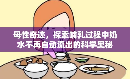 母性奇跡，探索哺乳過程中奶水不再自動流出的科學(xué)奧秘