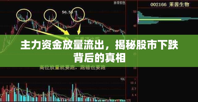 主力資金放量流出，揭秘股市下跌背后的真相