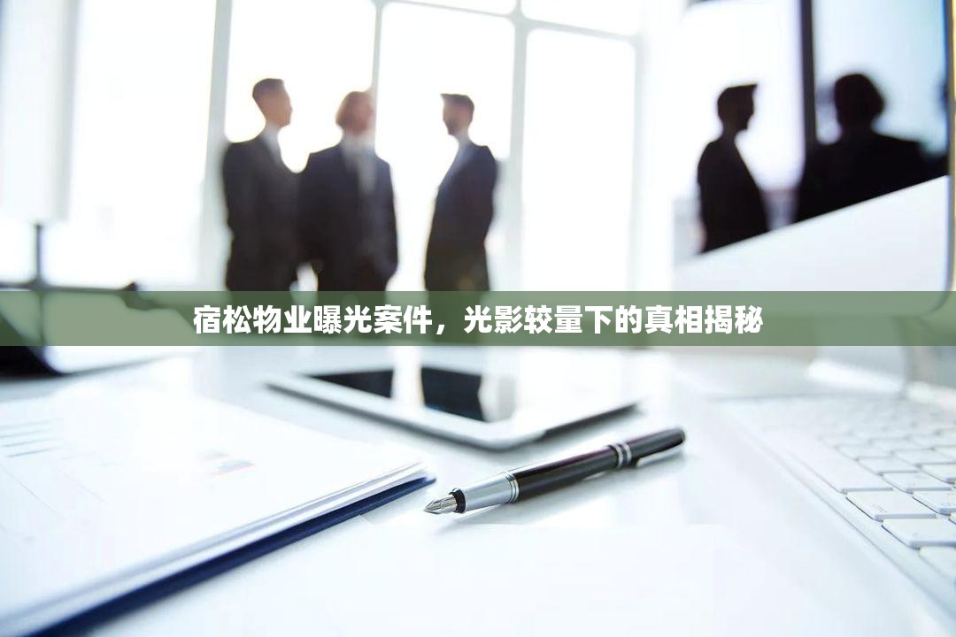 宿松物業(yè)曝光案件，光影較量下的真相揭秘