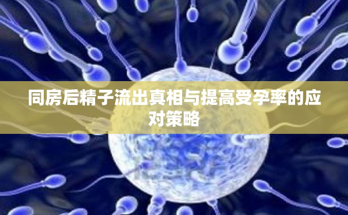 同房后精子流出真相與提高受孕率的應(yīng)對(duì)策略