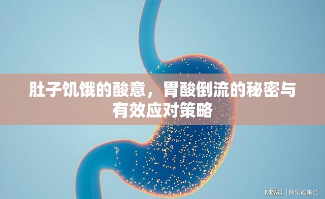 肚子饑餓的酸意，胃酸倒流的秘密與有效應(yīng)對策略