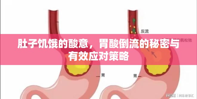 肚子饑餓的酸意，胃酸倒流的秘密與有效應(yīng)對策略