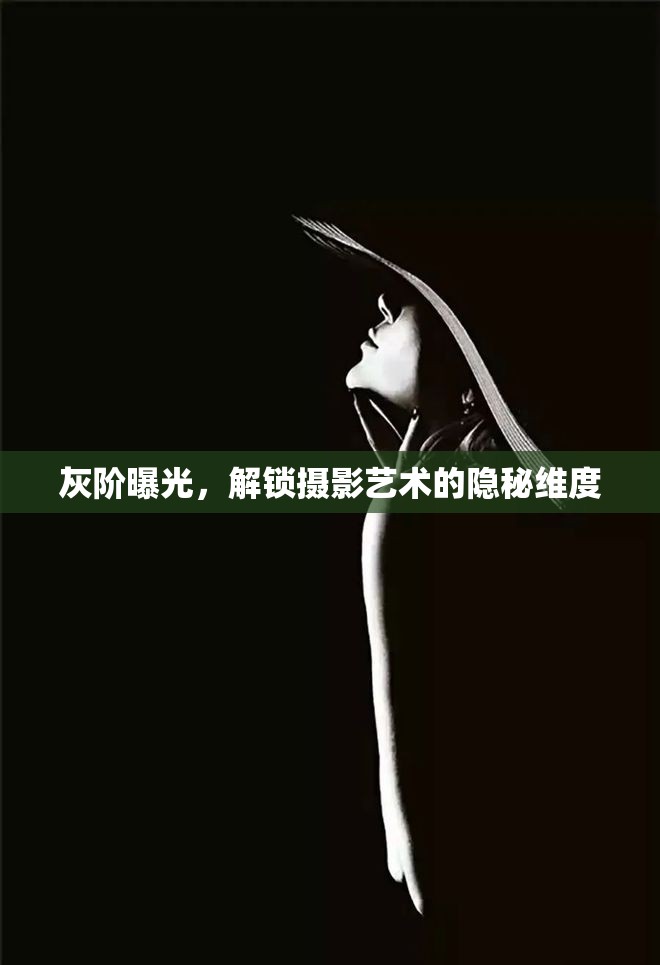灰階曝光，解鎖攝影藝術(shù)的隱秘維度