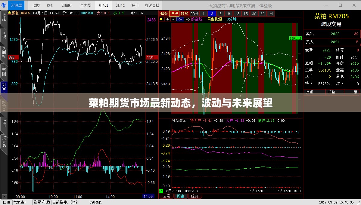 菜粕期貨市場(chǎng)最新動(dòng)態(tài)，波動(dòng)與未來展望