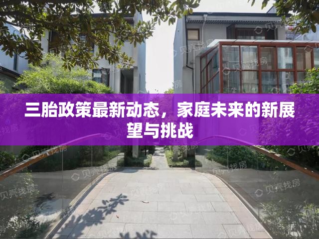 三胎政策最新動態(tài)，家庭未來的新展望與挑戰(zhàn)