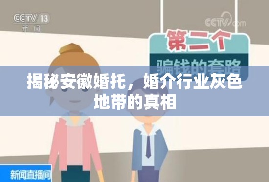揭秘安徽婚托，婚介行業(yè)灰色地帶的真相