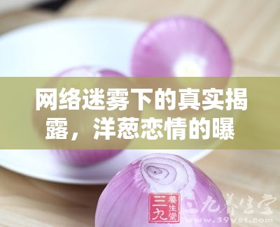 網絡迷霧下的真實揭露，洋蔥戀情的曝光與情感探索