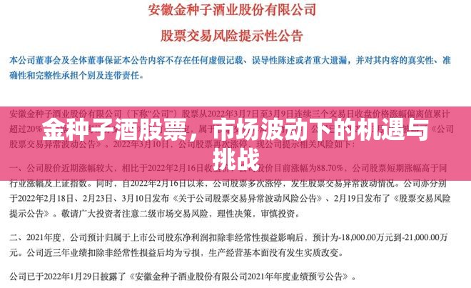 金種子酒股票，市場(chǎng)波動(dòng)下的機(jī)遇與挑戰(zhàn)