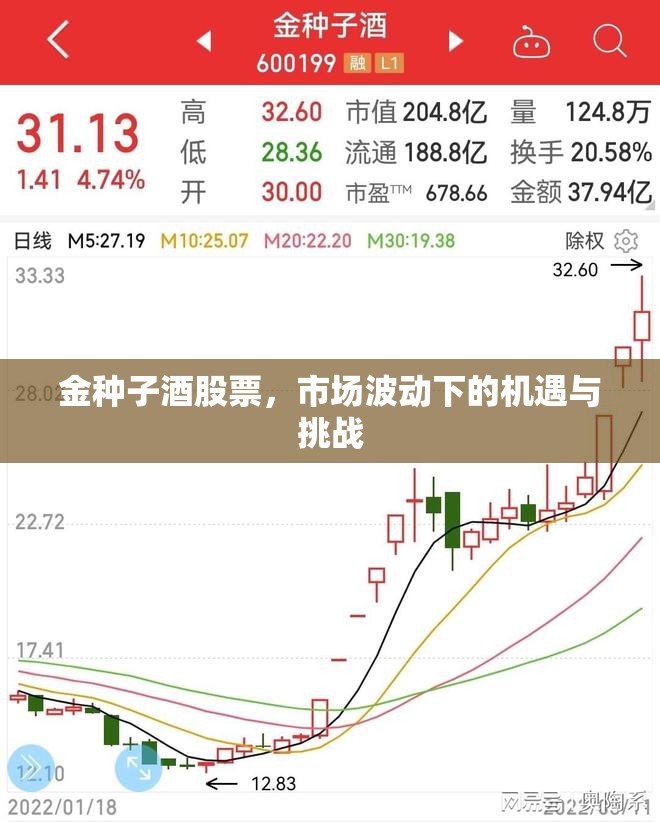 金種子酒股票，市場(chǎng)波動(dòng)下的機(jī)遇與挑戰(zhàn)