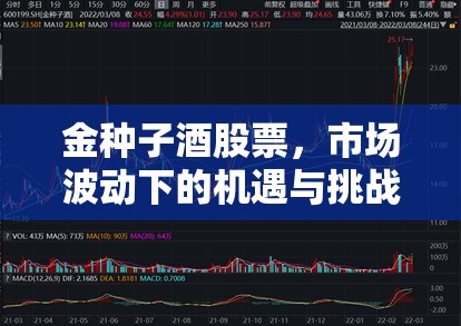 金種子酒股票，市場(chǎng)波動(dòng)下的機(jī)遇與挑戰(zhàn)