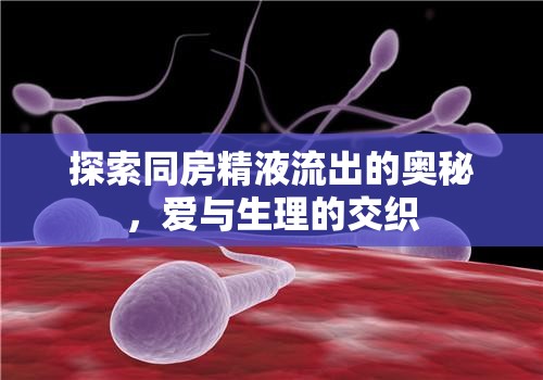 探索同房精液流出的奧秘，愛(ài)與生理的交織