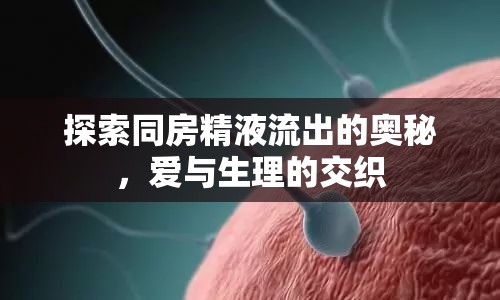 探索同房精液流出的奧秘，愛(ài)與生理的交織
