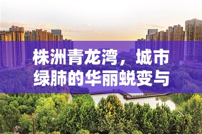 株洲青龍灣，城市綠肺的華麗蛻變與未來展望
