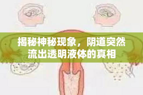 揭秘神秘現(xiàn)象，陰道突然流出透明液體的真相