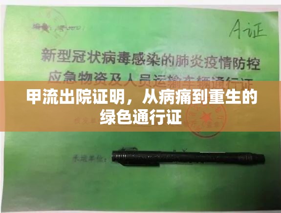 甲流出院證明，從病痛到重生的綠色通行證