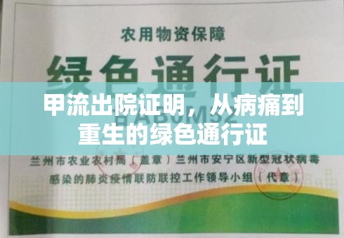 甲流出院證明，從病痛到重生的綠色通行證