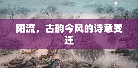 陽流，古韻今風(fēng)的詩意變遷