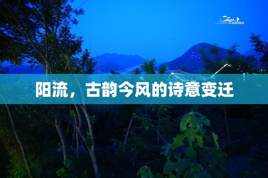 陽流，古韻今風(fēng)的詩意變遷