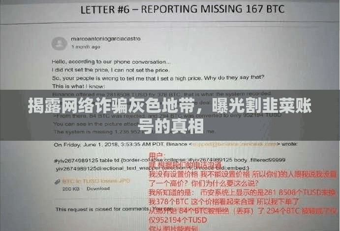 揭露網(wǎng)絡(luò)詐騙灰色地帶，曝光割韭菜賬號(hào)的真相