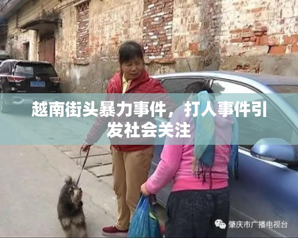 越南街頭暴力事件，打人事件引發(fā)社會(huì)關(guān)注