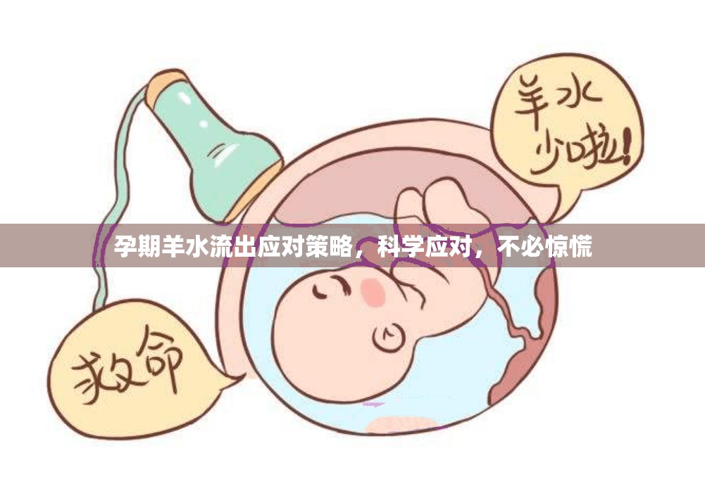孕期羊水流出應(yīng)對(duì)策略，科學(xué)應(yīng)對(duì)，不必驚慌