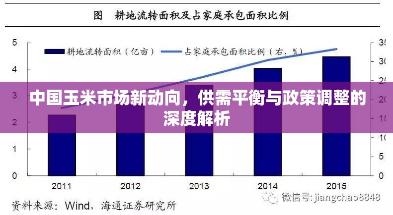 中國(guó)玉米市場(chǎng)新動(dòng)向，供需平衡與政策調(diào)整的深度解析