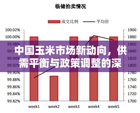 中國(guó)玉米市場(chǎng)新動(dòng)向，供需平衡與政策調(diào)整的深度解析