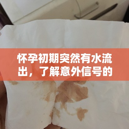 懷孕初期突然有水流出，了解意外信號的真相