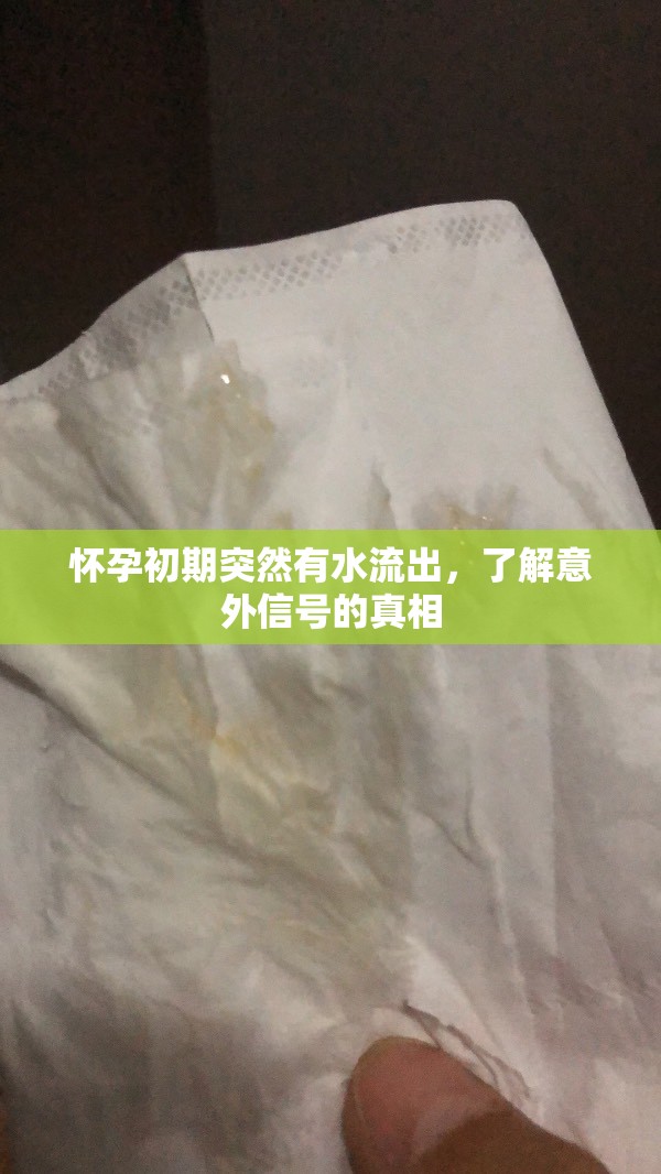 懷孕初期突然有水流出，了解意外信號的真相