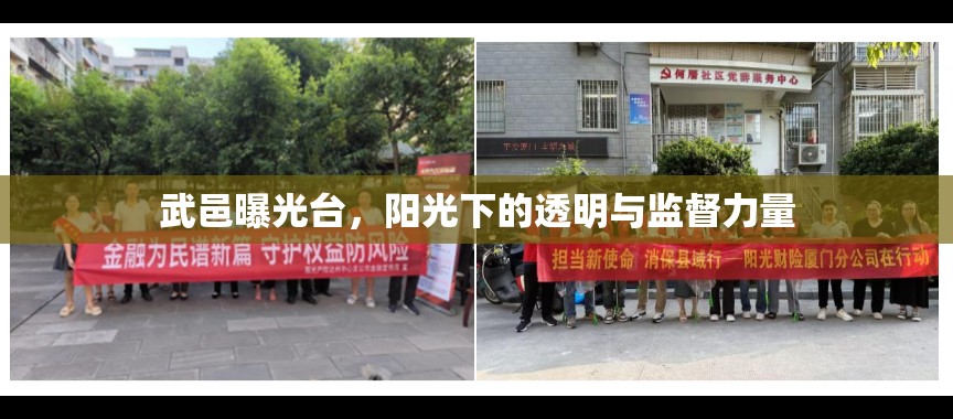 武邑曝光臺，陽光下的透明與監(jiān)督力量