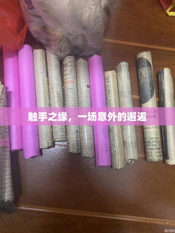 觸手之緣，一場意外的邂逅