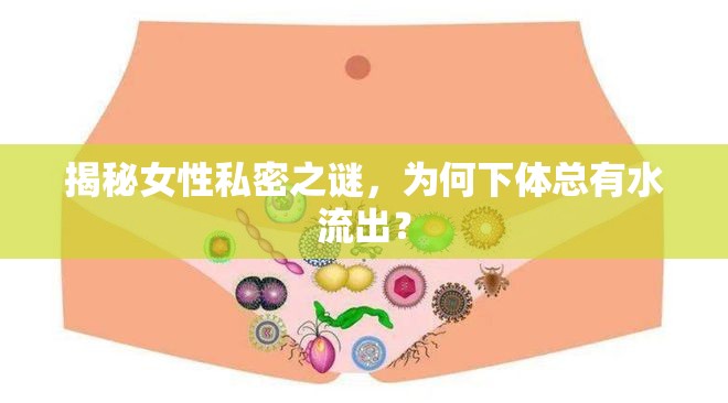揭秘女性私密之謎，為何下體總有水流出？