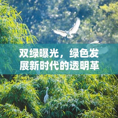 雙綠曝光，綠色發(fā)展新時代的透明革命